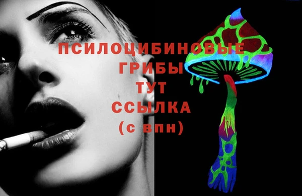 стафф Коряжма