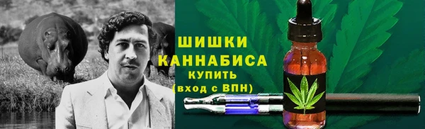 стафф Коряжма