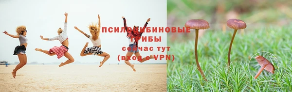 хмурый Краснослободск