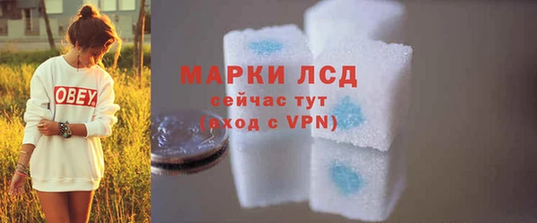стафф Коряжма