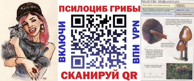 Галлюциногенные грибы ЛСД Купить закладки Елабуга