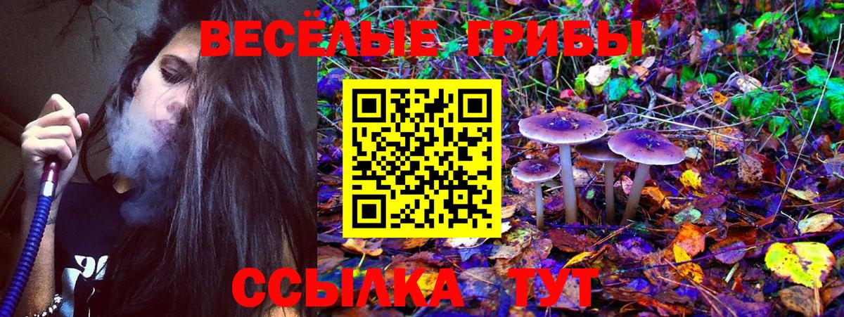 Псилоцибиновые грибы мицелий  Вход с VPN  закладка  Елабуга 