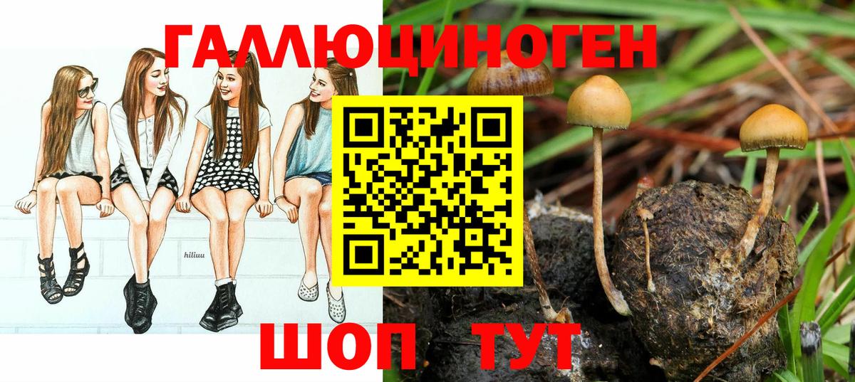 Галлюциногенные грибы MAGIC MUSHROOMS  купить  цена  Елабуга  Галлюциногенные грибы прущие грибы 